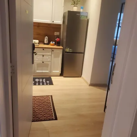 Center 1 Bedroom Myslym Shyri 11 A Appartement